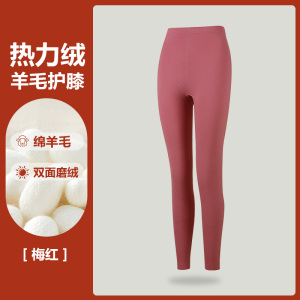 花花公子秋裤女士内穿高腰保暖裤羊毛护膝加绒德秋冬季打底裤大码