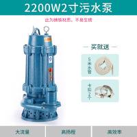 汐岩潜水泵家用220污水泵小型化粪池抽粪抽水泵井水自吸抽水机高扬程 2200w2寸污水泵