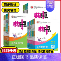 数学❤️人教版 八年级上 [正版]2024秋初中七八年级上九年级上册上下册数学语文英语物理化学典中点综合应用创新题初一二