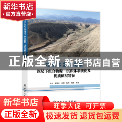 正版 准噶尔盆地南缘深层下组合物源—沉积体系演化及优质储层特
