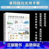 [正版]全新垂钓知识图鉴新手到高手的垂钓技巧常见鱼类钓法工具掌握快速提升垂钓技能图文并茂垂钓常见用具诱饵钓饵制作常见鱼