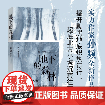 (精装)地下的森林 孙频中篇小说 北方往事系列 掘开黝黑地底炽热诗行,起底北方小城沉寂往事