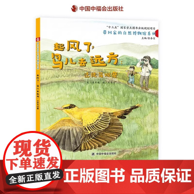起风了鸟儿去远方迁徙鸟观察精装绘本中国原创图画书亲子之旅观察鸟类品味自然野趣带回家的自然博物馆系列单本3-6-8岁阅读正