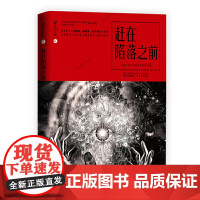 星云志.赶在陷落之前