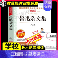 鲁迅杂文集 [正版]祝福 鲁迅作品小说集/爱阅读中小学儿童文学名著阅读书目 9-10-12-15岁五六七八年级现当代名著