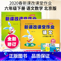六年级下册语数2本 小学六年级 [正版]2022版 新课改课堂作业语文数学英语六6年级上册下册人教版RJ北京版大白兔练习