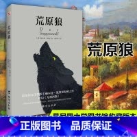 默认规格 [正版]荒原狼无删减完整版 赫尔曼黑塞著 诺贝尔文学奖得主 治愈社恐内的焦虑 克服社交恐惧 现当代故事世界名著