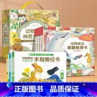 [11册]推拉书+触摸书+立体书 [正版] 立体书礼盒4册送人宝宝绘本动物朋友神奇立体书4册礼盒0-1-2-4岁幼儿早教