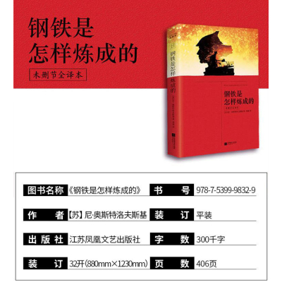 钢铁是怎样炼成的(全译本)