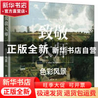 正版 致敬大师:色彩风景:Color scenery 魏心淼 江苏人民出版社 9