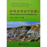 醉染图书含煤岩系矿产资源9787562549031