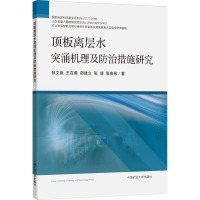 顶板离层水突涌机理及防治措施研究
