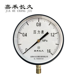 嘉禾长久 压力表检测型 Y250 块