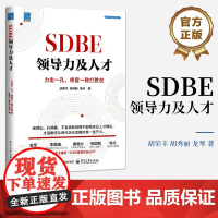店 SDBE领导力及人才 力出一孔 将官一致打胜仗 胡荣丰 领导力发展与干部管理的逻辑方法和工具 企业数字化转型书籍