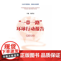 正版库存一本)"一带一路"环球行动报告(2018) 杨善民 主编记录年度进展 发现未来趋势 社会科学文献出版社 97