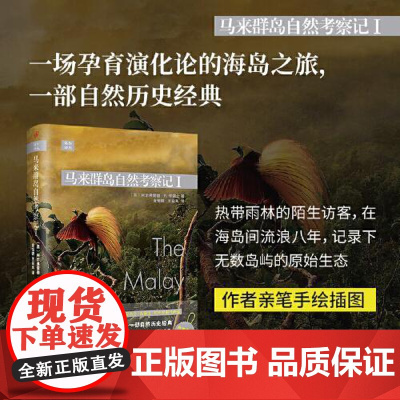 远行译丛:马来群岛自然考察记I(精装) 人民文学出版社