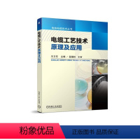 [正版] 电缆工艺技术原理及应用 王卫东 电线电缆技术丛书