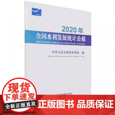 2020年全国水利发展统计公报 2020 Stat
