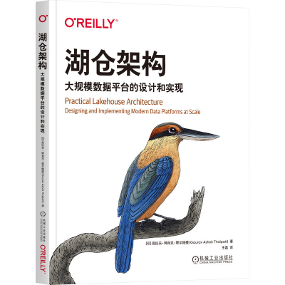 正版新书]湖仓架构:大规模数据平台的设计和实现[印]高拉夫·阿