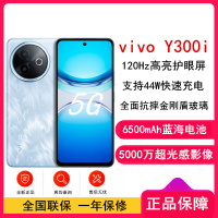 [全新]vivo Y300i 雾凇蓝 8GB+128GB 第二代骁龙4 5G芯 6500mAh电池 44W充电 5000万高清影像 5G 手机