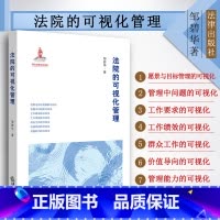 [正版] 法院的可视化管理 邹碧华著 法院管理全程可视化建设 可视化管理制度模式 司法责任制 数据统计维护 法院绩效管