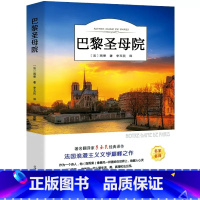 巴黎圣母院 [正版]巴黎圣母院书原著 雨果著李玉民译 经典世界名著外国文学长篇小说 初中生高中生青少年课外阅读必读书籍