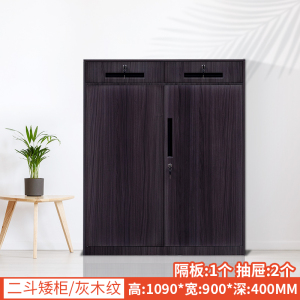 铭威盾办公室文件柜资料档案铁皮柜子储物带锁财务铁柜书柜阳台矮柜