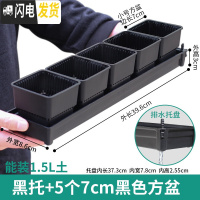 三维工匠控根多肉花盆套装组合塑料创意个性简约透气北欧风肉肉小盆器 [窄排水黑托]+5个黑盆(7cm盆) 中小花盆容器