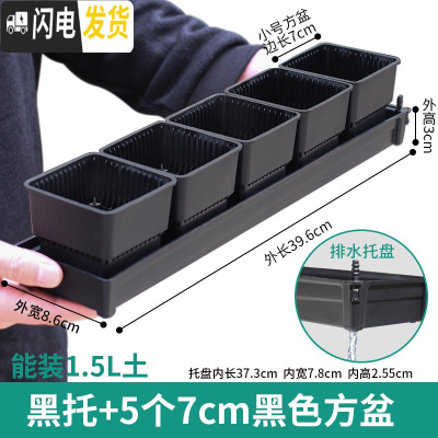 三维工匠控根多肉花盆套装组合塑料创意个性简约透气北欧风肉肉小盆器 [窄排水黑托]+5个黑盆(7cm盆) 中小花盆容器