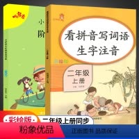 [正版]二年级上册同步训练 看拼音写词语+阅读理解专项训练书 小学生语文人教版同步训练每日一练天天练日记入门作文书起步