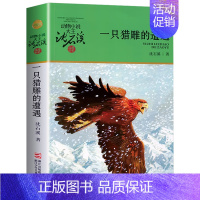 一只猎雕的遭遇 [正版]狼王梦沈石溪动物小说系列品藏书系后一头战象8-10-12-15周岁儿童文学三四五六年级中小学生课