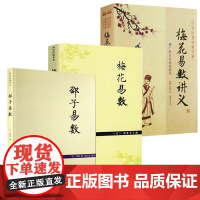 [3册]邵子易数+梅花易数+梅花易数讲义 书籍