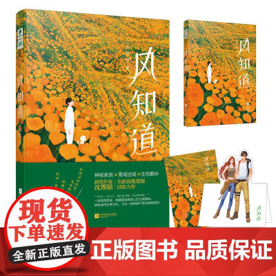风知道 沈熊猫 江苏凤凰文艺出版社 正版书籍