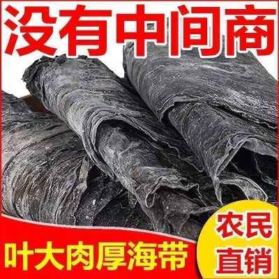 霞浦特产整条海带新货福建霞浦昆布日晒带头厚实商用散装煲汤干货批发