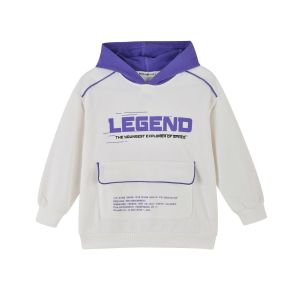 [福利]秋季新款男童带帽长袖T恤儿童T恤百搭字母印花撞色连帽T恤