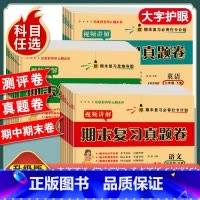 [5本套/人教版]语数英试卷+练字帖+阅读理解 四年级上 [正版]一年级二年级三年级四五六年级上册下册试卷测试卷全套人教