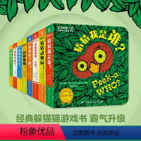 猜猜我是谁全8册 [正版]猜猜我是谁双语游戏书系列任选 奇妙洞洞拉拉书婴儿书籍绘本0-1-2-3岁撕不烂儿童启蒙早教智力