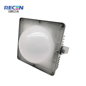 RECEN 固定式LED灯具 RGPL221-50W 个