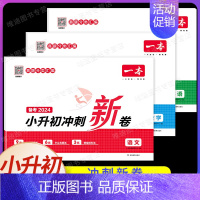 [语数英❤️3本]小升初冲刺新卷 小学升初中 [正版]2024新版 小升初名校冲刺新卷语文数学英语 真题冲刺新篇 专题冲