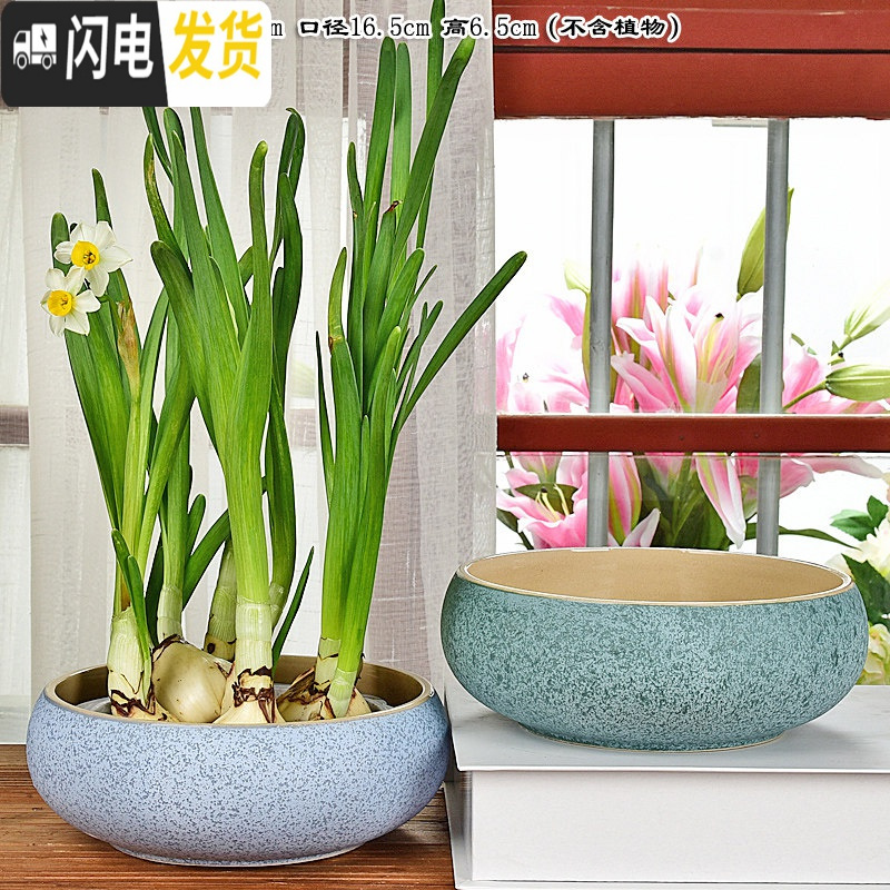 三维工匠陶瓷大号家用室内无孔铜钱一叶莲碗莲盆多肉大口径水培 玲珑花盆2件套(无孔水培) 中等花盆容器