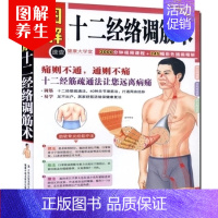 [正版]图解十二经络调筋术 家庭穴位按摩 中医养生书籍 家庭保健 经筋保健法 家庭实用健康宝典 图文绘本生活常识商城书籍