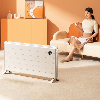 飞利浦(PHILIPS)AHR4166ZS器家用欧式快热炉电热暖风机