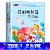 爱丽丝梦游奇境记 [正版]海底两万里注音版书原著 小学生版一二三年级阅读课外书世界名著经典必读老师带拼音儿童读物故事书6