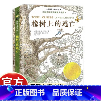 [新蕾国际大奖]橡树上的逃亡 [正版]国际大奖小说 屋顶上的小孩升级版三四年级课外书必读7-9-10-11-12-15岁
