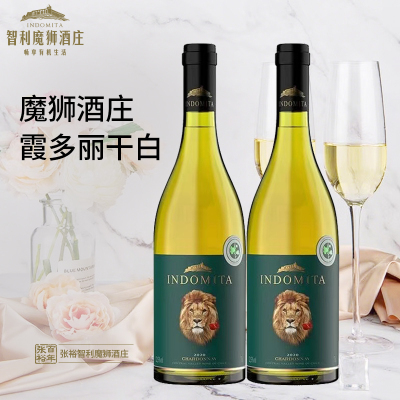 张裕百年官方授权智利原瓶进口魔狮霞多丽干白葡萄酒750ml*2双支