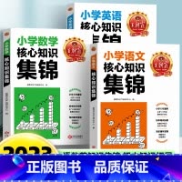 3册[语+数+英]核心知识集锦 小学通用 [正版]小学核心知识集锦语文数学英语大盘点一年级二年级三四五六年级重点知识大全