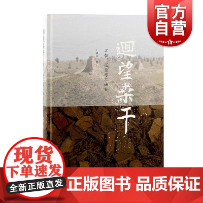 回望桑干:北朝、辽金考古研究 王银田作品墓志资料勾小人物生平事迹历史故事上海古籍出版社中国史