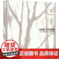 迷墙 孙韬艺术探索集 孙韬 著 江苏美术出版社 美术作品 绘画(新)