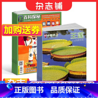[正版]百科探秘玩转地球+小聪仔自然科普版杂志 2024年1月起订 全年订阅 5-8岁儿童阅读科普读物 少儿阅读期刊