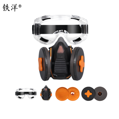 铁洋 呼吸防护面罩 TY-HX009 套